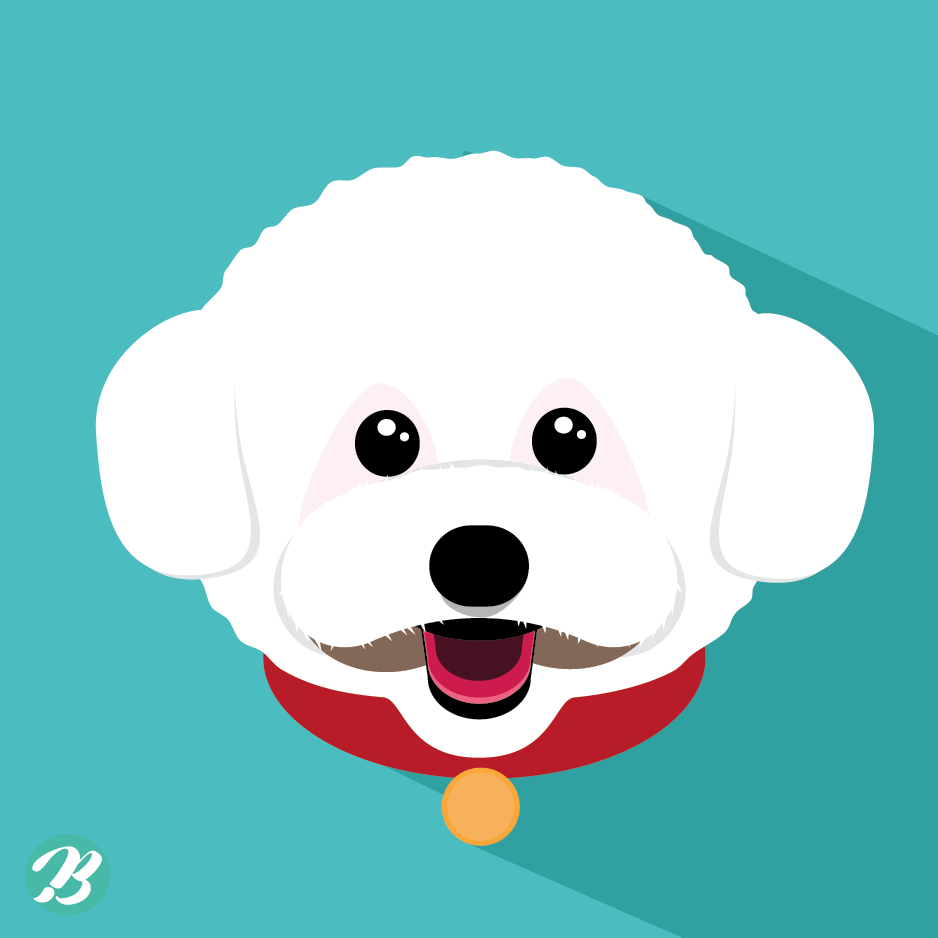 비숑 일러스트 Ai 무료다운로드 - Bichon Frise Illustration - Urbanbrush