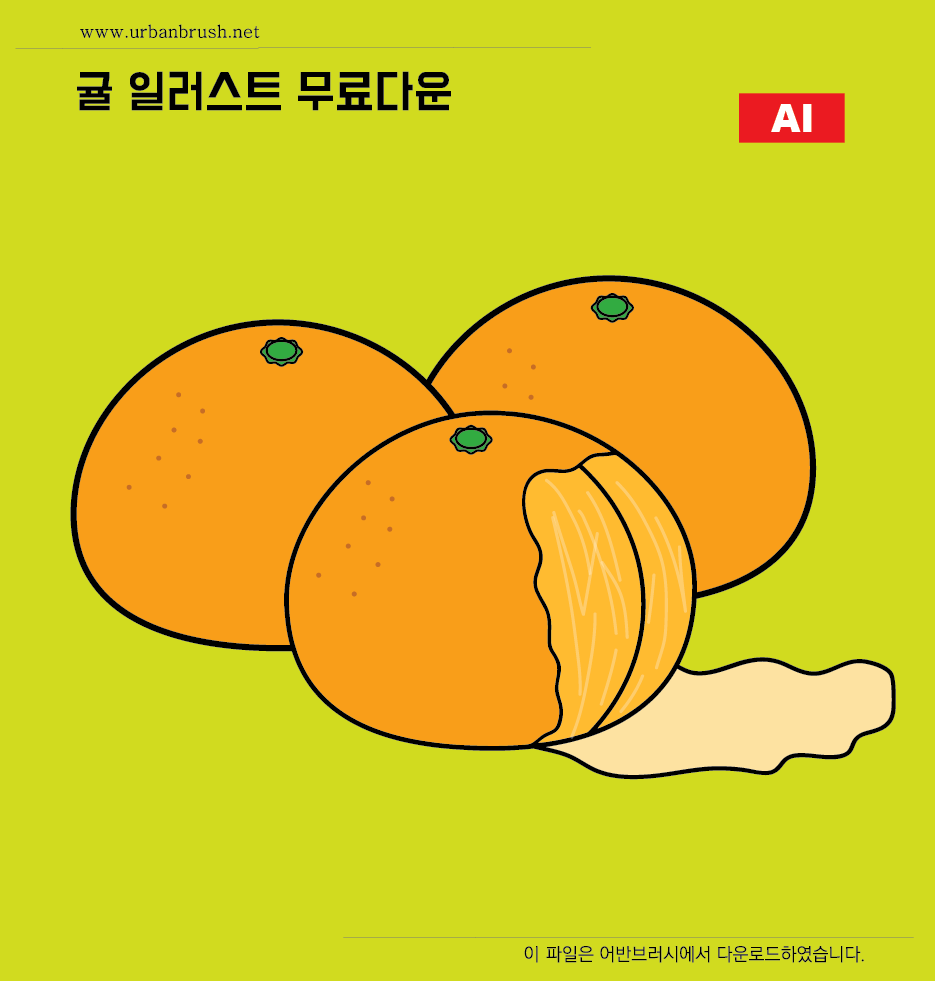 귤 일러스트 Ai 무료다운로드 - Tangerine Illustration - Urbanbrush