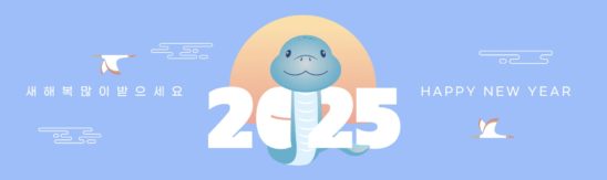 2025년 새해 현수막